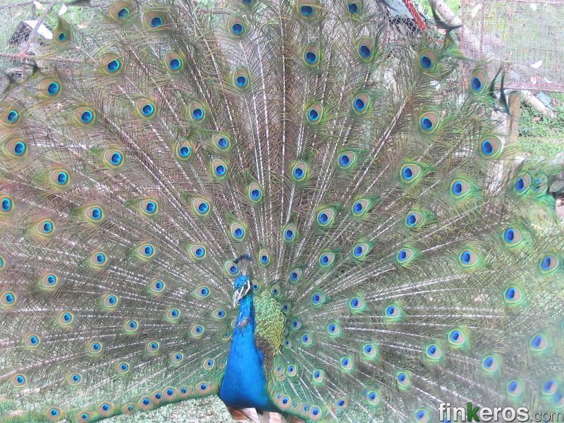 FINCA RECREATIVA VILLA OTTI EN ARBELAEZ - Finca en Arbeláez, Cundinamarca